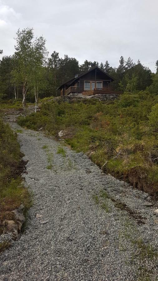 Molvik Hytten Villa Ostereidet Екстериор снимка