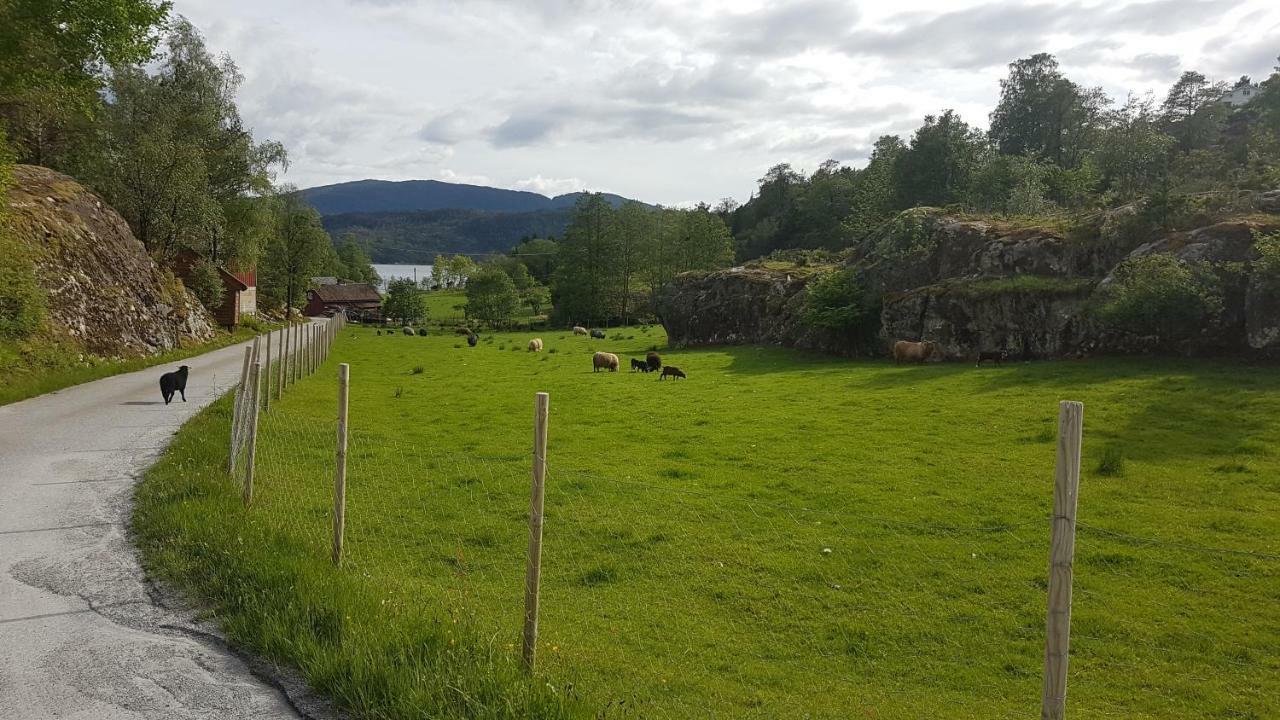 Molvik Hytten Villa Ostereidet Екстериор снимка